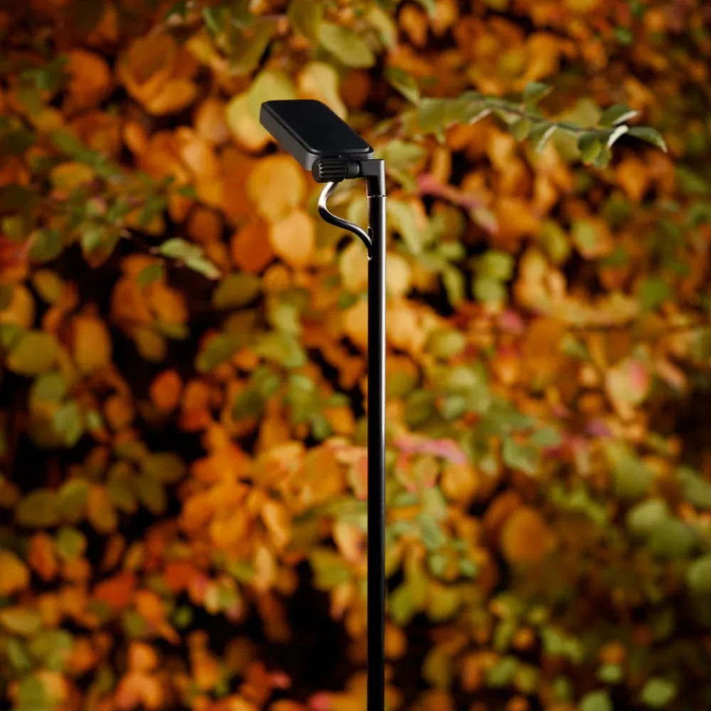 Luceplan LED-vejlampe Flia, 2 lyskilder, sort, plast