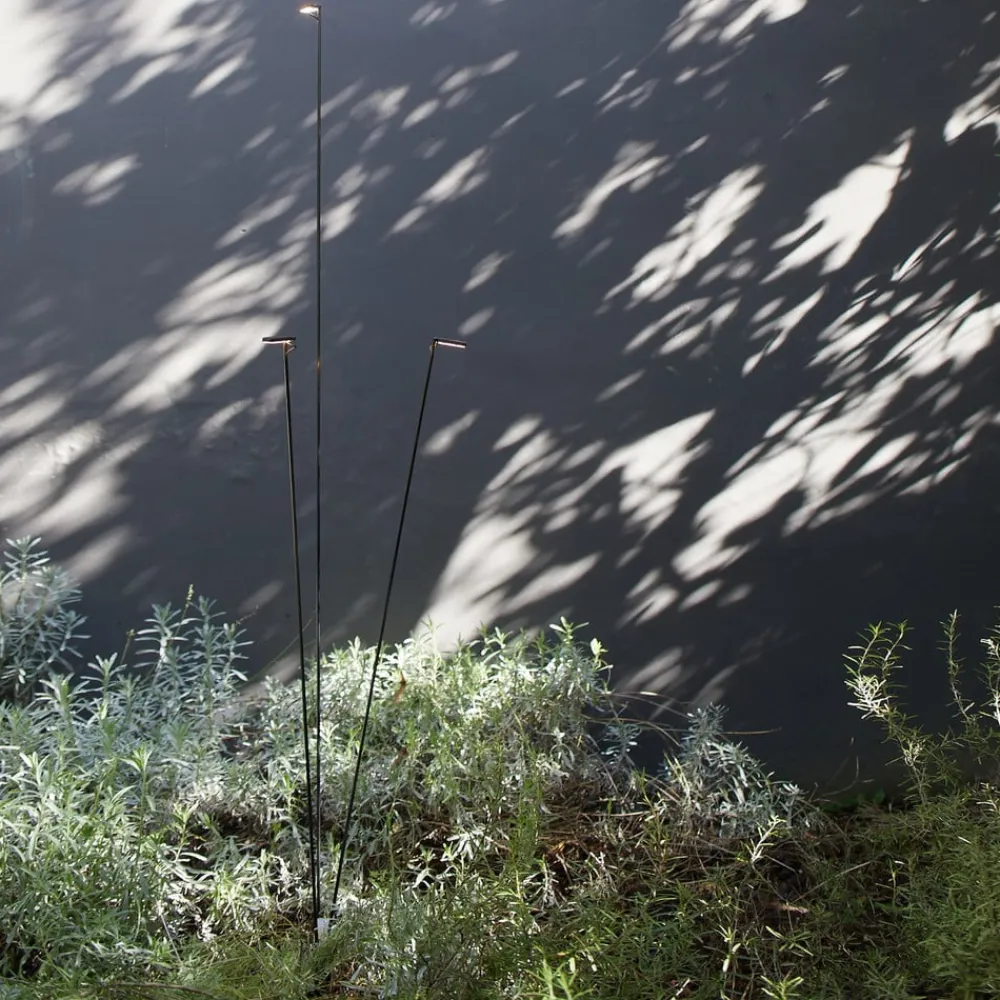 LED-vejlampe Flia, 3 lyskilder, sort, plast^Luceplan Online