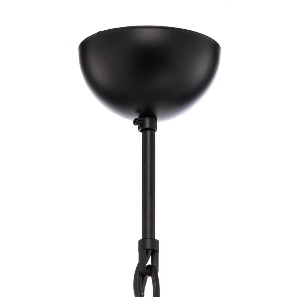 Avonni Lysekrone AV-7002-1876-6BSY med glasskærme