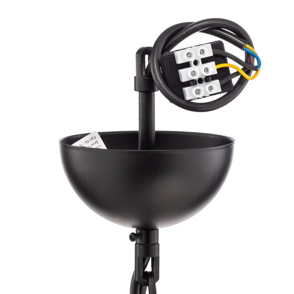 Avonni Lysekrone AV-7002-1876-6BSY med glasskærme