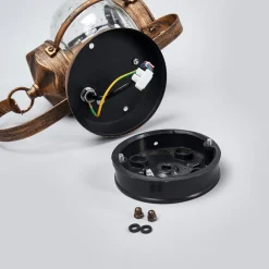 ORION Margerite udendørs væglampe med blæst glas