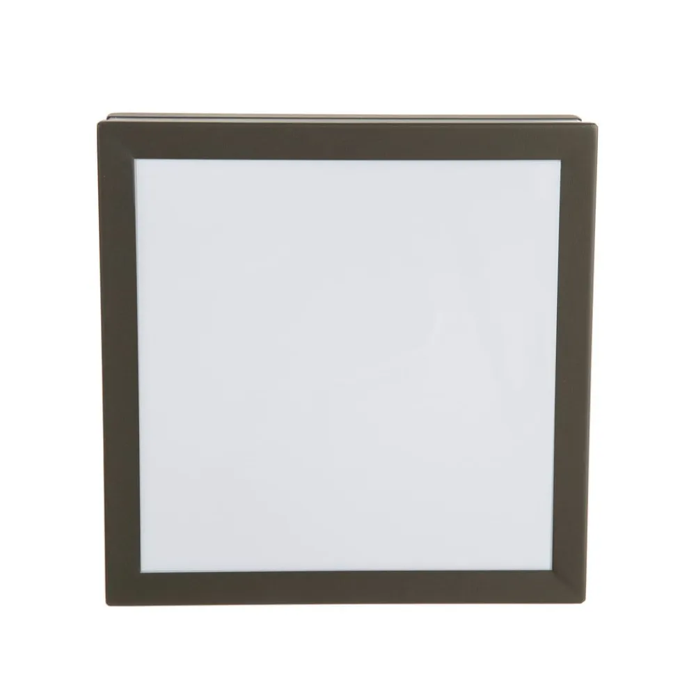 Brilliant Matteo udendørs loftlampe, 2 x E27, IP44, antracit