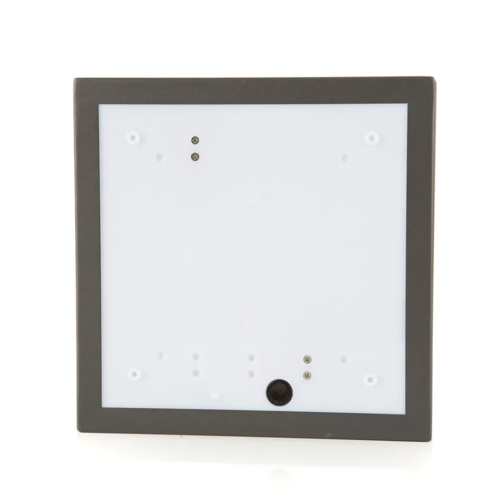 Brilliant Matteo udendørs loftlampe, 2 x E27, IP44, antracit