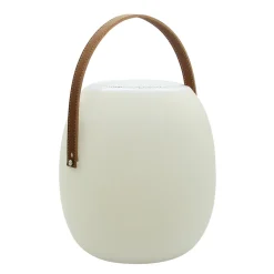 Spika bærbar højttaler med RGB-W^MEGATRON Sale