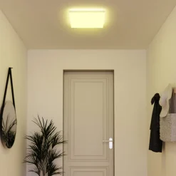 tint Müller Licht farvet LED-panel Loris, 45x45cm