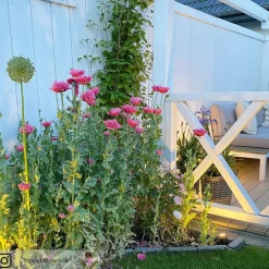 Müller Licht LED udendørs spotlight Flores, sæt med 3 stk^tint Best