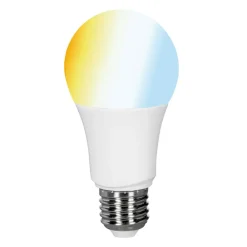 tint Müller Licht white LED-pære E27 9W, CCT
