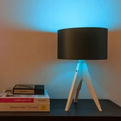 tint Müller Licht white+color LED-pære E27 9,5W