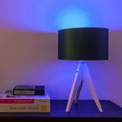 tint Müller Licht white+color LED-pære E27 9,5W