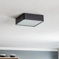 Argon Oro loftslampe af stål og glas, sort, 25 cm