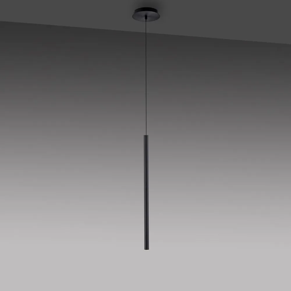 Flute LED-hængelampe 1 lyskilde sort^Paul Neuhaus Best