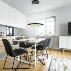 Paul Neuhaus LED-hængelampe Hoop, sort, Ø 57 cm, dæmpbar