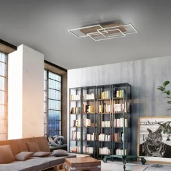 Paul Neuhaus Loftlamper|Loftlamper>Palma LED-loftlampe CCT ramme