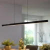 Q-Smart-Home Pendellamper|Pendellamper>Paul Neuhaus Q-ARIAN LED-pendellampe, antracit