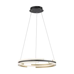 Q-Smart-Home Paul Neuhaus Q-Beluga LED-hængelampe, messing