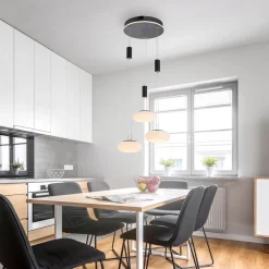 Paul Neuhaus Q-ETIENNE hængelampe rondel, sort^Q-Smart-Home New