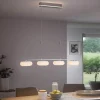 Q-Smart-Home Pendellamper>Paul Neuhaus Q-ETIENNE LED-hængelampe, 4 lyskilder