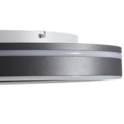 Q-Smart-Home Paul Neuhaus Q-VITO LED-loftlampe 59 cm antracit