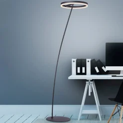 Paul Neuhaus Gulvlamper>Titus LED-gulvlampe antracit dæmper