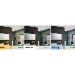 Paulmann Aviar LED-loftlampe WhiteSwitch, Ø 30 cm