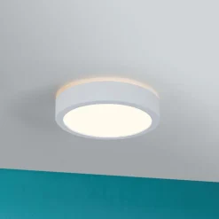 Paulmann Loftlamper>Aviar LED-loftlampe Ø 22 cm hvid 3.000 K