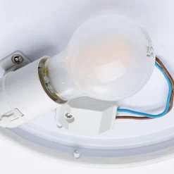 Paulmann Loftlamper|Loftlamper><noscript><img width=