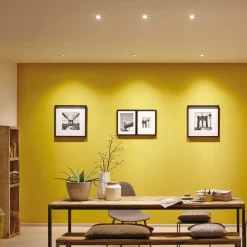 Choose Coin LED 3-step-dim 100° 2.700 K 3^Paulmann Online