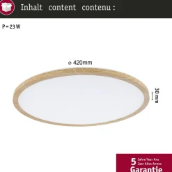 Paulmann LED-loftslampe Atria Shine Ø42cm eg IP44 3.000K