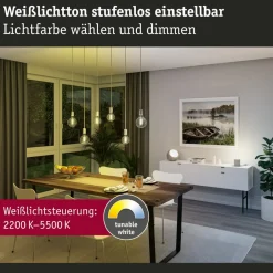 Paulmann LED-pære ZigBee E27 7,5W CCT dim guld