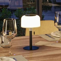 LED-solcellelampe Bartja, sort, IP44 dæmpbar^Paulmann Best