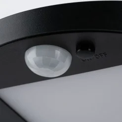 Paulmann LED-solcellelampe til udendørs væglampe Ryse, antracit