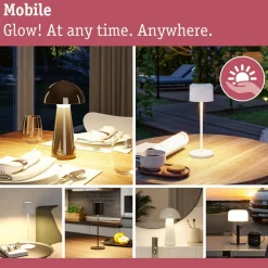 LED-solcellelampe Else, sort, IP44 dæmpbar^Paulmann Sale