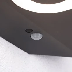 LED-væglampe Silma antracit 2 lyskilder IP44^Paulmann Best