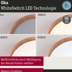 Paulmann Oka LED-loftlampe IP44 CCT trælook