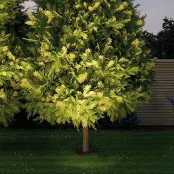 Paulmann Nedgravet Udebelysning><noscript><img width=