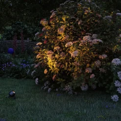 Paulmann Udendørs Spot><noscript><img width=