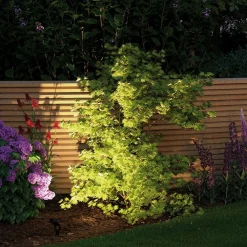 Paulmann Plug & Shine Sting 3000K forlængelse med 3 enheder