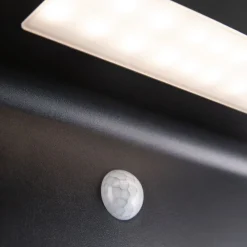 Paulmann Solveig solcellelampe med sensor