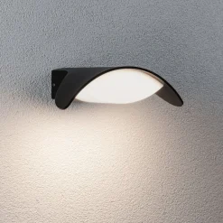 udendørs LED-væglampe Mesana, antracit 24 cm aluminium IP44^Paulmann Clearance