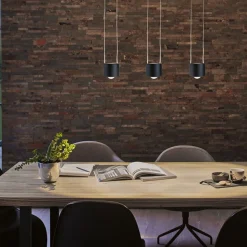 URail Aldan LED-pendel 4.000 K sort^Paulmann Online