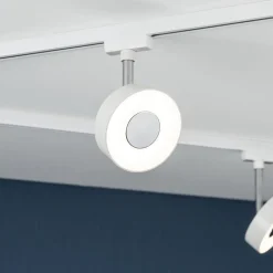 URail Circle spot 3-step-dim 3.000 K hvid^Paulmann Outlet