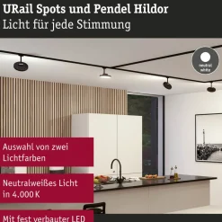 URail Hildor LED-spot sort 4.000K^Paulmann