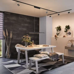 URail Lento LED-pendel ZigBee CCT sort^Paulmann Sale