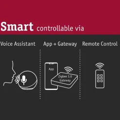 URail Lento LED-pendel ZigBee CCT sort^Paulmann Sale