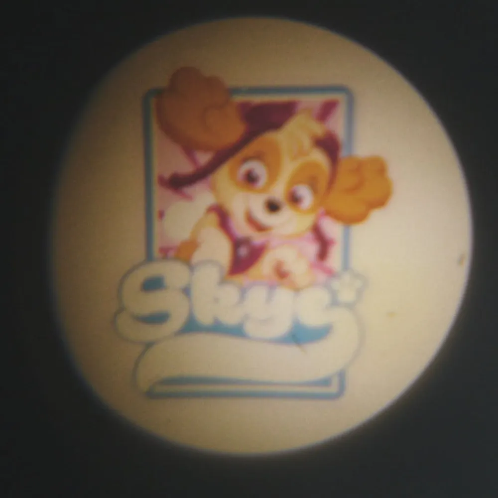 Børn Niermann Standby Paw Patrol lommeprojektor, 6-delt, batteridrift