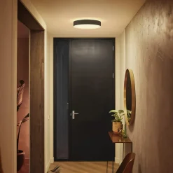 Enrave LED-loftslampe 38,1 cm sort^Philips Hue Hot