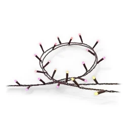 Philips Hue Festavia LED-lyskæde, CCT RGB 20 m