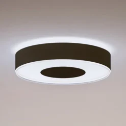 Infuse LED-loftslampe, 38,1 cm, sort, dæmpbar.^Philips Hue Clearance