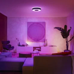 Infuse LED-loftslampe, 38,1 cm, sort, dæmpbar.^Philips Hue Clearance