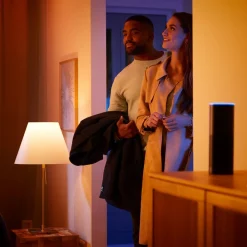 LED-pærer 2x E27 8,1 W CCT RGB Bridge Pro^Philips Hue Hot